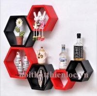 Kệ treo tường tổ ong 1